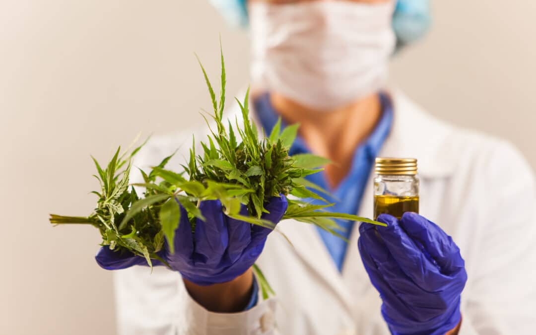 TGA Approves Second Registered Medicinal Cannabis Product